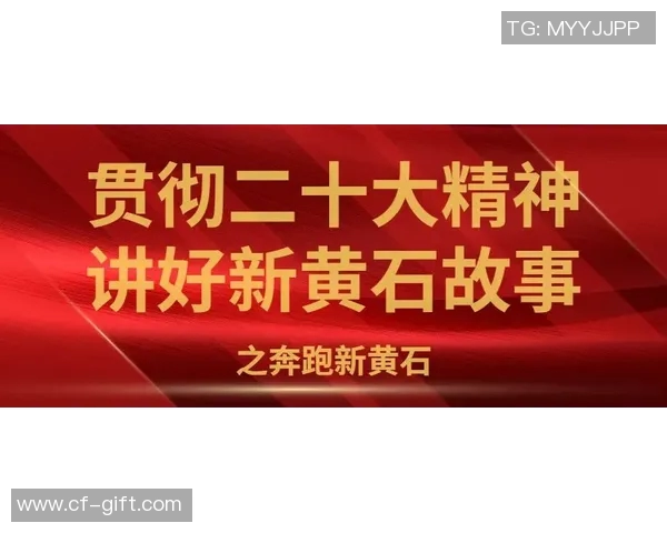 你不知道的总决赛冷知识揭秘：10个鲜为人知的内幕故事和历史瞬间
