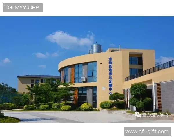 青训系统发展报告 青训系统发展报告