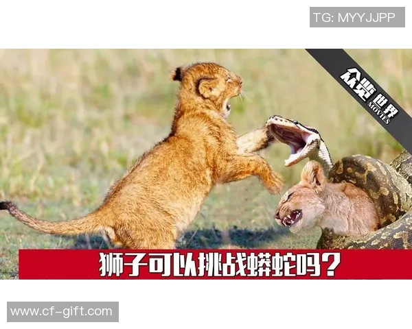 超级对决！足球八卦大战成看点之最