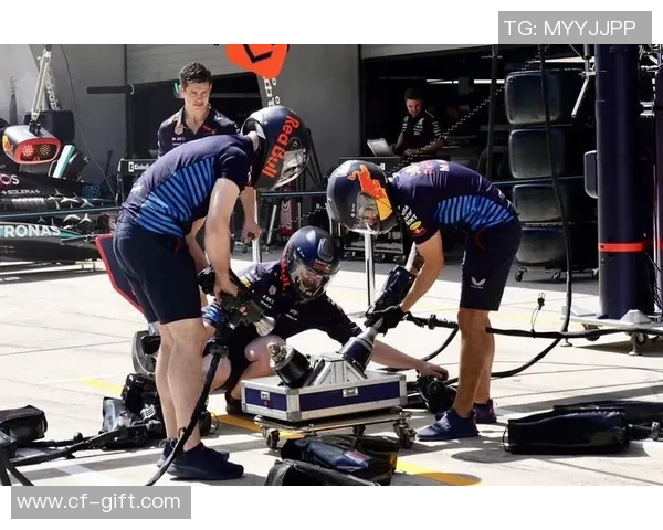 F1车队赛中策略调整及即时数据应用