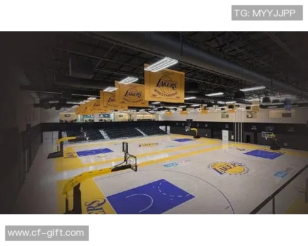 NBA球员赛季体能数据分析及训练建议